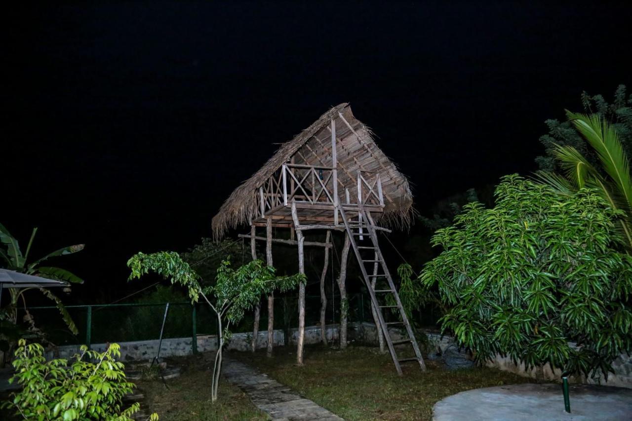 D Family Resort Anuradhapura Zewnętrze zdjęcie